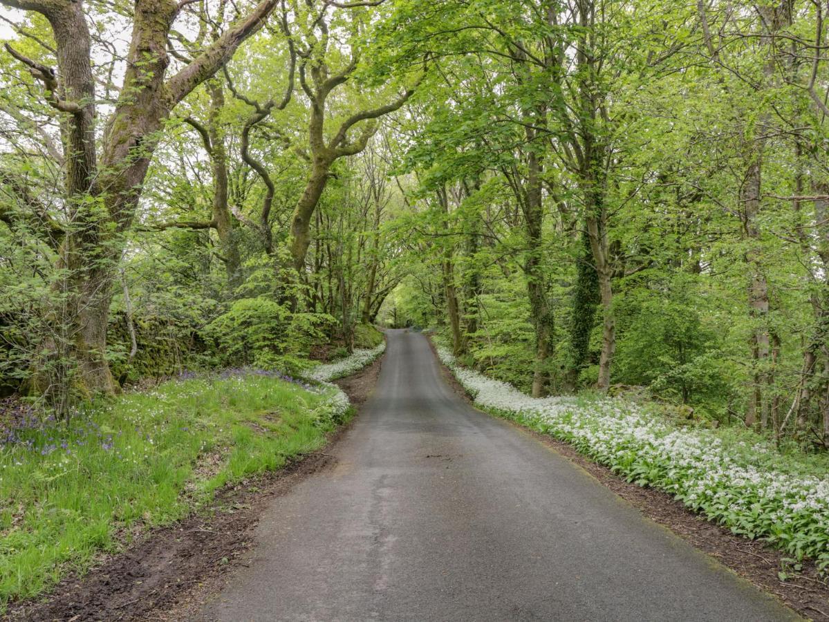 Danes Court Villa Bowland Bridge Dış mekan fotoğraf